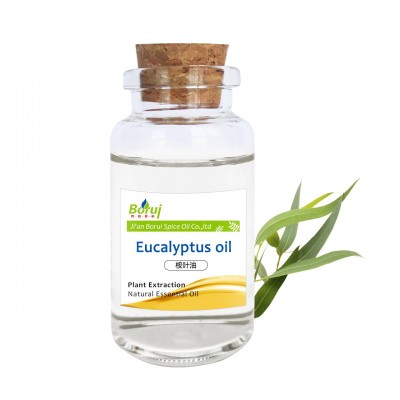 1 Gallon Wholesale Provide Best Price 100% Pure And Natural Essential Eucalyptus Globulus Oil