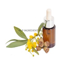 Pure Natural Eucalyptus Essential Oil 80% CAS No. 8000-48-4